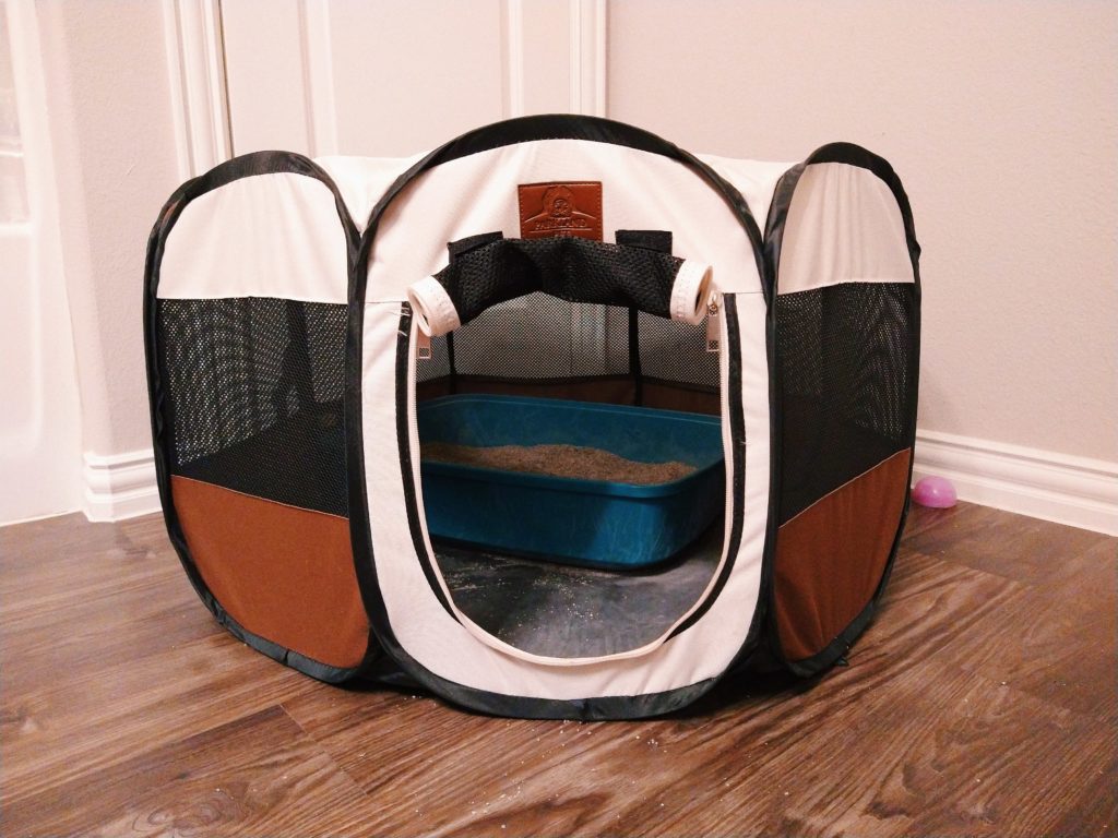 Blue plastic litter box inside a small cat play pen